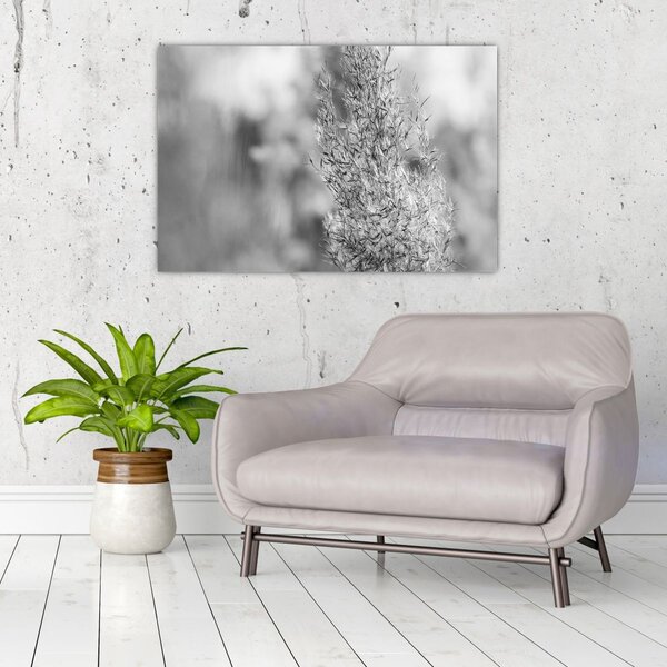 Obraz - Boho pampas grass (90x60 cm)