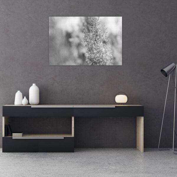 Obraz - Boho pampas grass (90x60 cm)