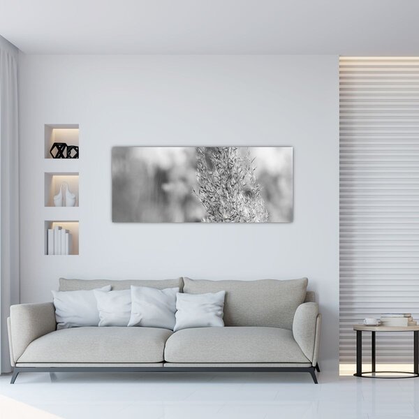 Obraz - Boho pampas grass (120x50 cm)