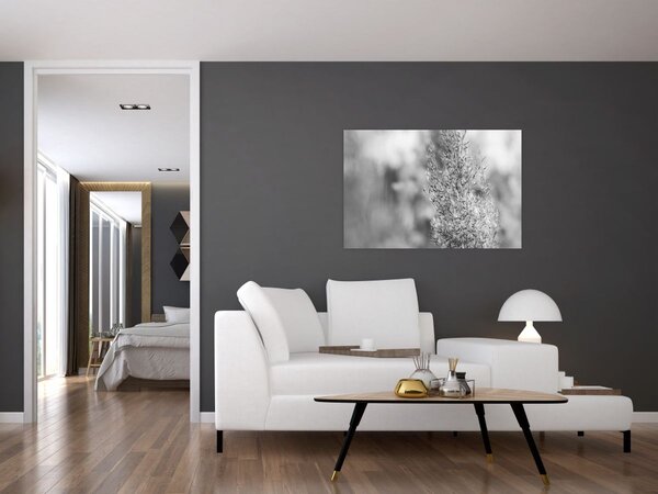 Obraz - Boho pampas grass (90x60 cm)