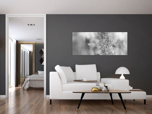 Obraz - Boho pampas grass (120x50 cm)