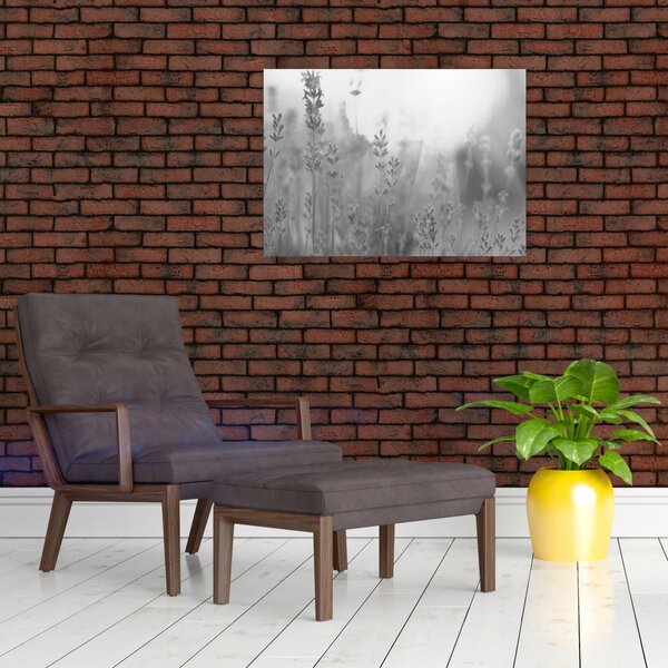 Obraz - Levanduľa (70x50 cm)