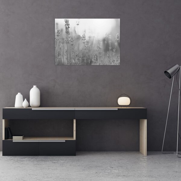Obraz - Levanduľa (70x50 cm)