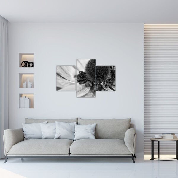 Obraz - Kvetina v čiernobielej (90x60 cm)