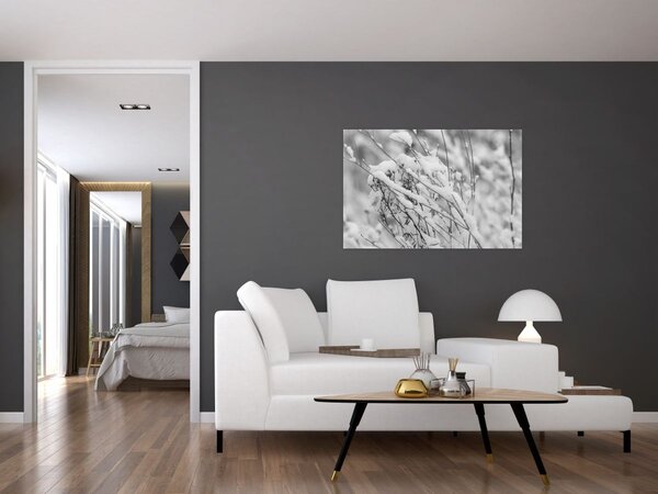 Obraz - Zasnežené vetvy (90x60 cm)