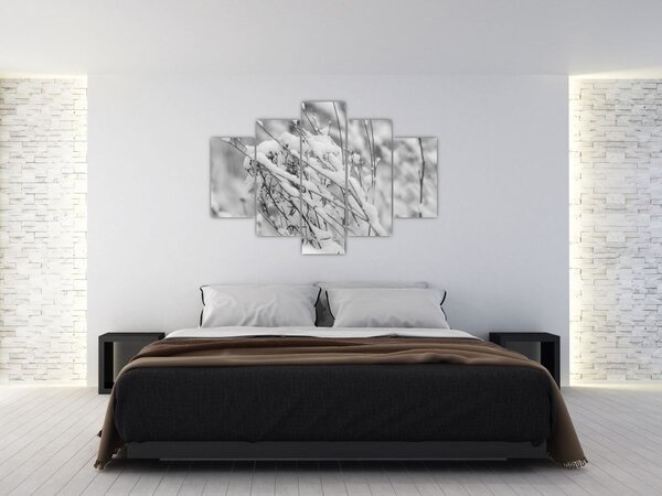 Obraz - Zasnežené vetvy (150x105 cm)