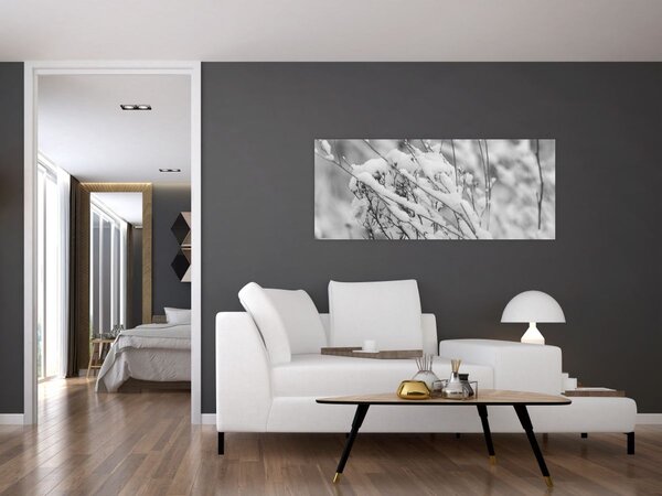 Obraz - Zasnežené vetvy (120x50 cm)