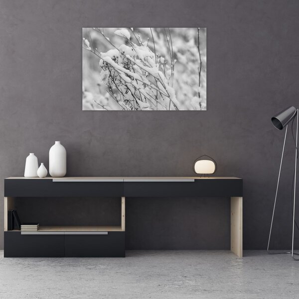 Obraz - Zasnežené vetvy (90x60 cm)