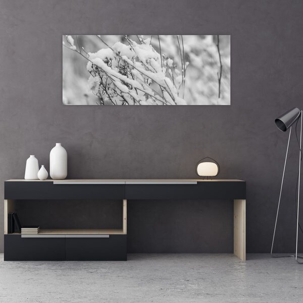Obraz - Zasnežené vetvy (120x50 cm)