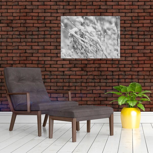Obraz - Zasnežené vetvy (70x50 cm)
