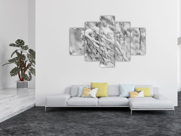 Obraz - Zasnežené vetvy (150x105 cm)