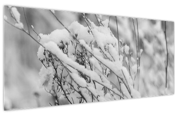 Obraz - Zasnežené vetvy (120x50 cm)