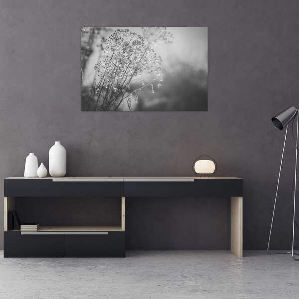 Obraz - Lúka po daždi (90x60 cm)