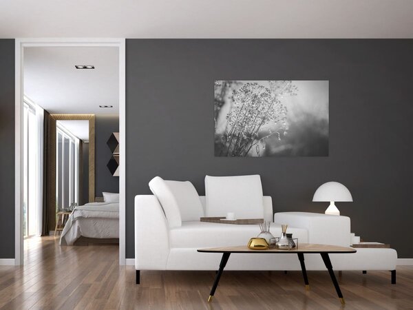 Obraz - Lúka po daždi (90x60 cm)