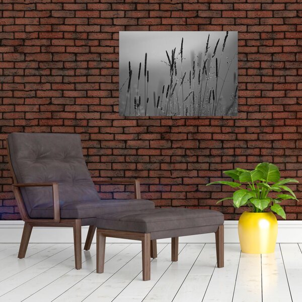 Obraz - Steblá trávy (70x50 cm)