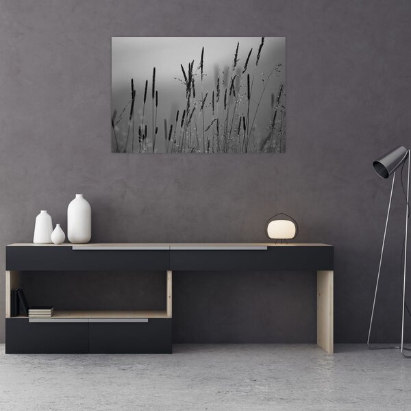 Obraz - Steblá trávy (90x60 cm)