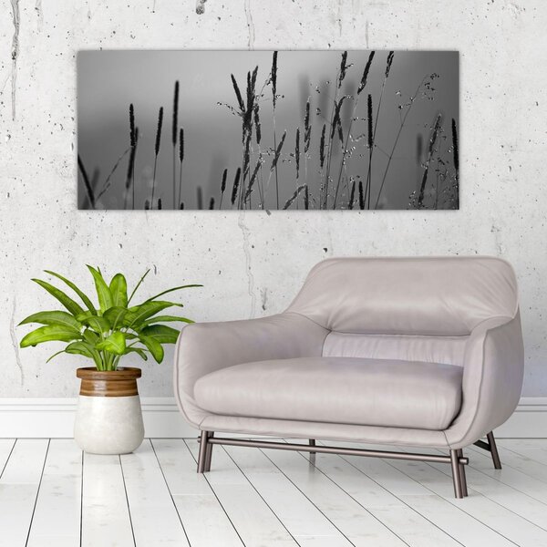 Obraz - Steblá trávy (120x50 cm)