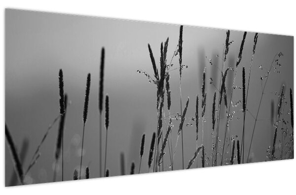 Obraz - Steblá trávy (120x50 cm)