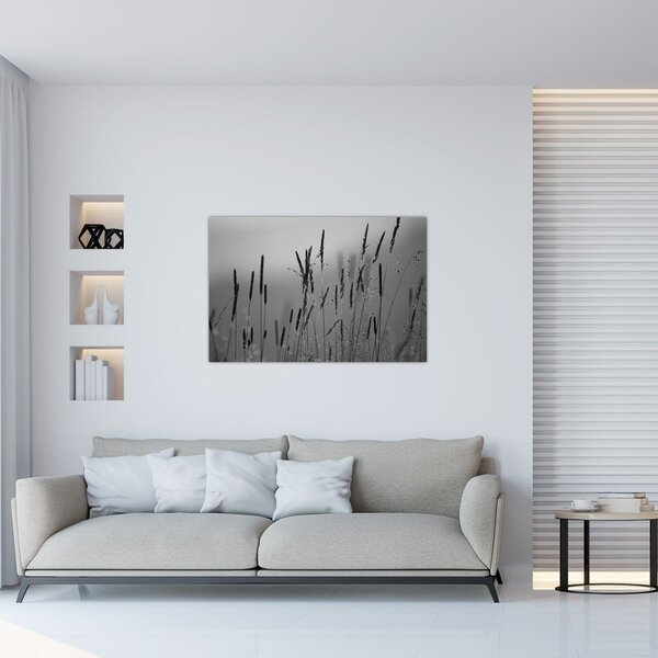 Obraz - Steblá trávy (90x60 cm)