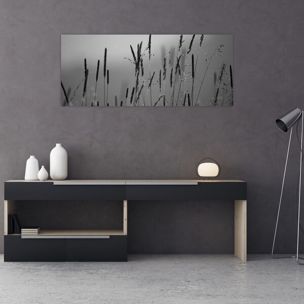 Obraz - Steblá trávy (120x50 cm)