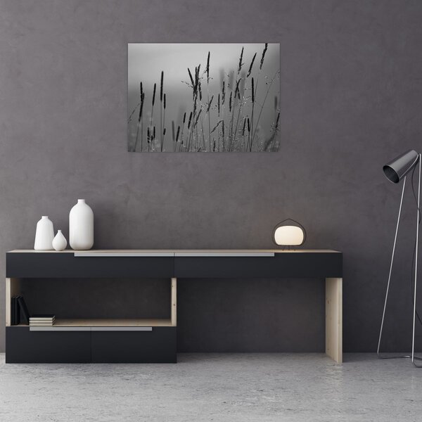 Obraz - Steblá trávy (70x50 cm)