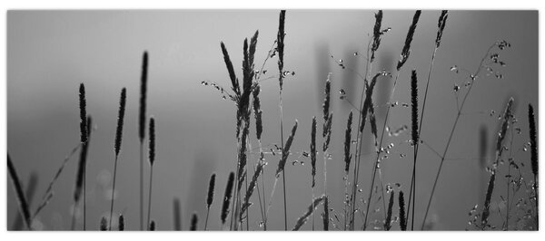 Obraz - Steblá trávy (120x50 cm)
