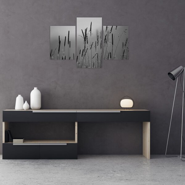 Obraz - Steblá trávy (90x60 cm)