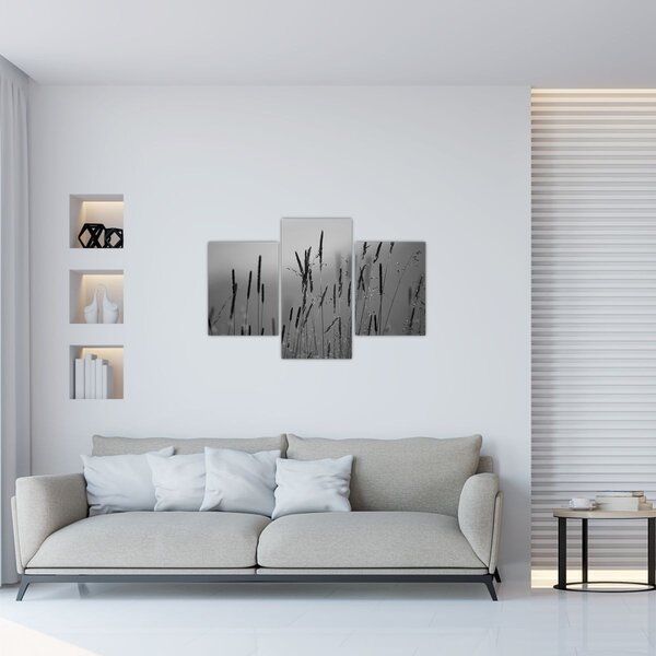 Obraz - Steblá trávy (90x60 cm)