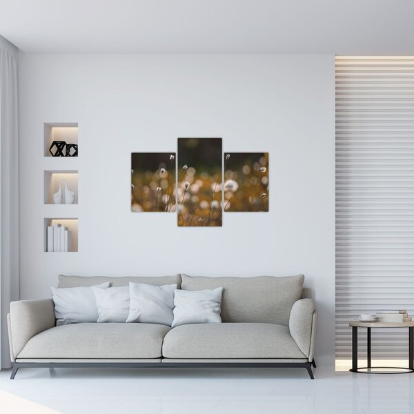 Obraz - Lúka s cottongrass N⁰2 (90x60 cm)