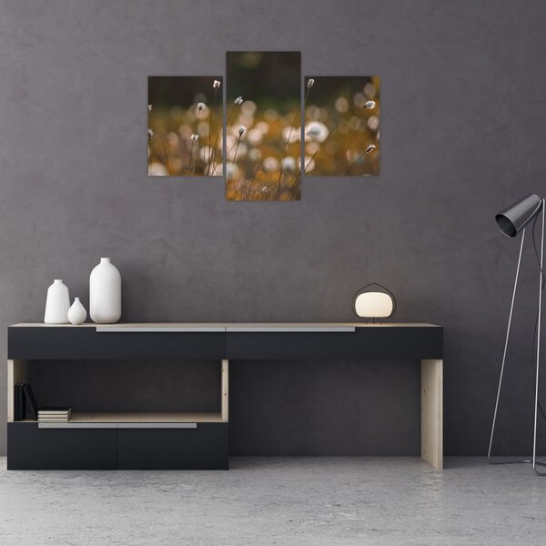 Obraz - Lúka s cottongrass N⁰2 (90x60 cm)
