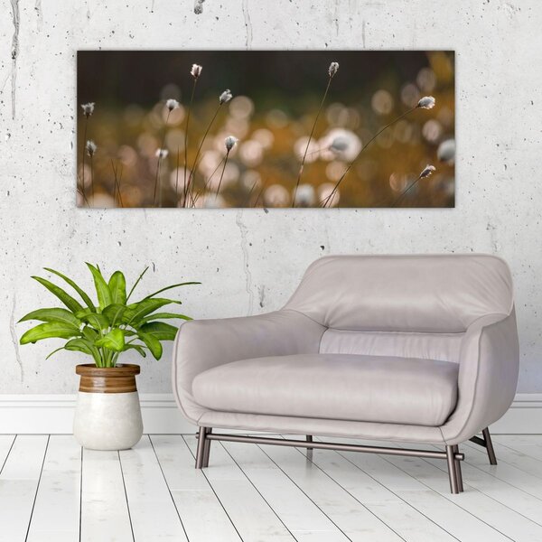 Obraz - Lúka s cottongrass N⁰2 (120x50 cm)