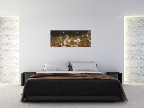 Obraz - Lúka s cottongrass N⁰2 (120x50 cm)