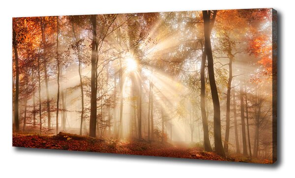 Foto obraz na plátne Hmla v lese jeseň oc-119225469