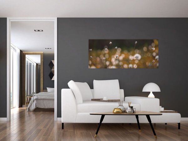 Obraz - Lúka s cottongrass N⁰2 (120x50 cm)