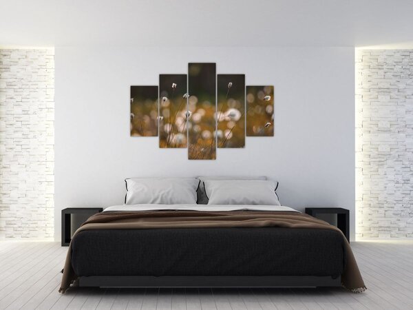 Obraz - Lúka s cottongrass N⁰2 (150x105 cm)