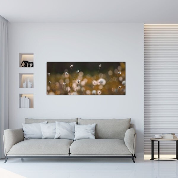 Obraz - Lúka s cottongrass N⁰2 (120x50 cm)