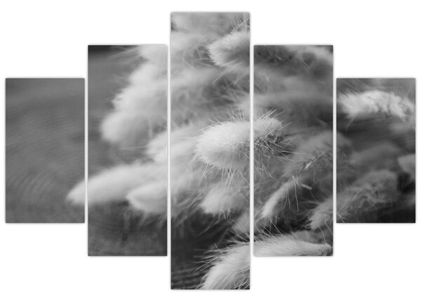 Obraz - bunny tail grass na stole (150x105 cm)