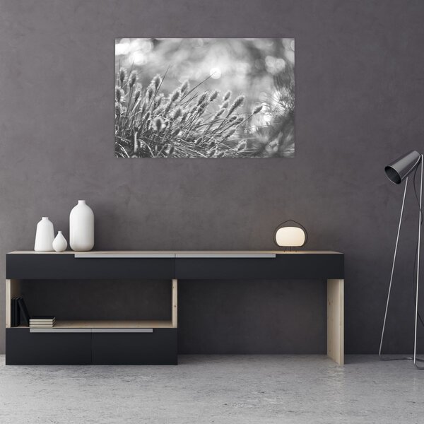 Obraz - Béžová soft grass N⁰1 (90x60 cm)