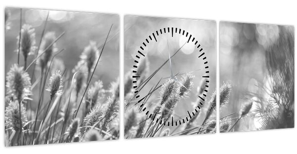 Obraz - Béžová soft grass N⁰1 (s hodinami) (90x30 cm)