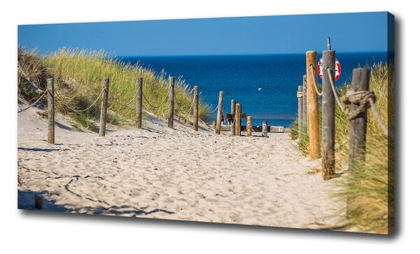 Foto obraz na plátne Morské duny oc-125318135
