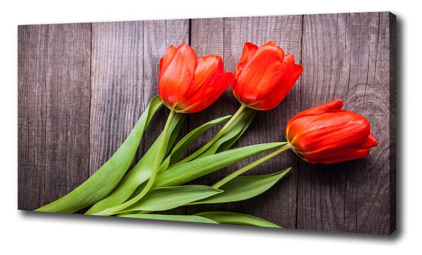 Foto obraz na plátne Červene tulipány oc-137777387