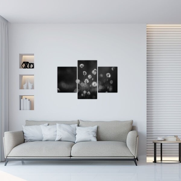 Obraz - Cottongrass na lúke (90x60 cm)