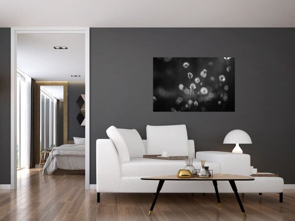Obraz - Cottongrass na lúke (90x60 cm)