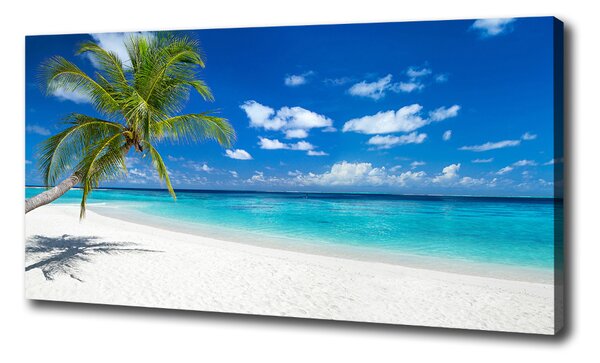 Foto obraz na plátne Tropická pláž oc-151547263