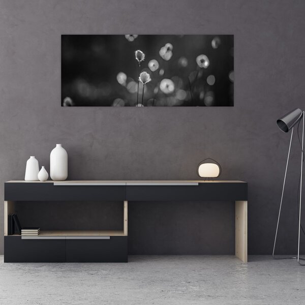 Obraz - Cottongrass na lúke (120x50 cm)