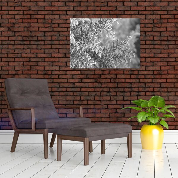 Obraz - Smrekový les (70x50 cm)