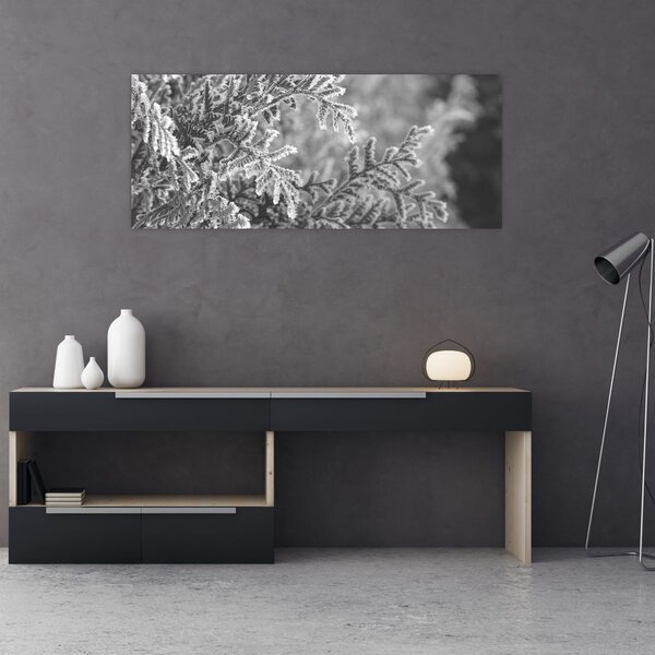 Obraz - Smrekový les (120x50 cm)