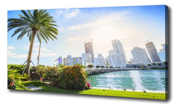 Foto obraz tlačený na plátne Miami USA oc-189099838