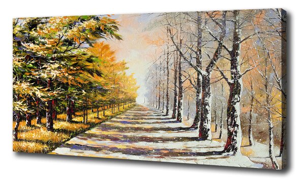 Moderný obraz canvas na ráme Jeseň vs zima oc-26973667