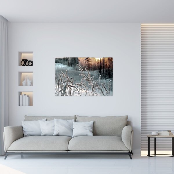 Obraz - Zamrznutá lúka (90x60 cm)